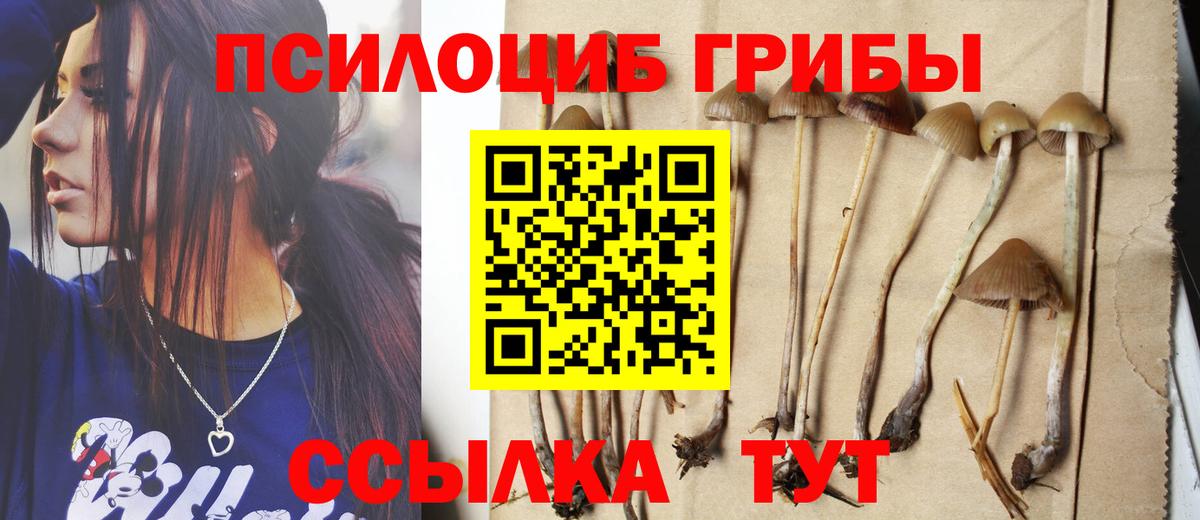 Галлюциногенные грибы Magic Shrooms  Вход с VPN  Бирск  Галлюциногенные грибы Psilocybine cubensis 